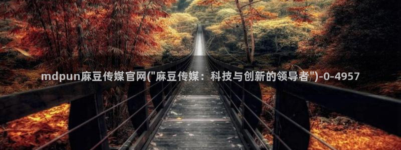 麻豆视频 在线看：mdpun麻豆传媒官网(\