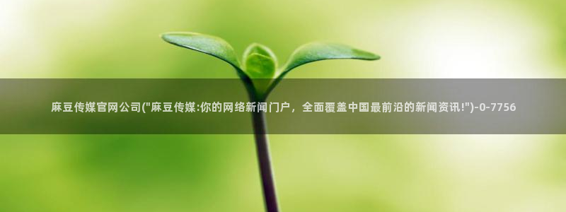 麻豆在线看最新：麻豆传媒官网公司(\