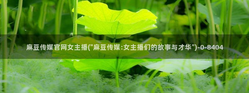 麻豆视频 内容推荐：麻豆传媒官网女主播(\