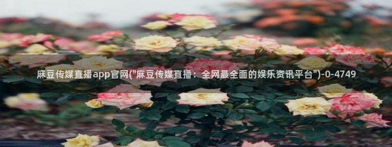 麻豆视频专区专区：麻豆传媒直播app官网(\