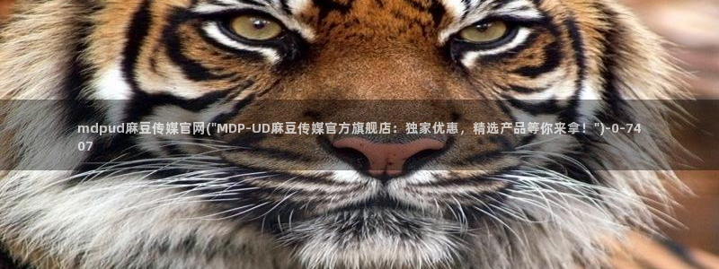 麻豆合集整理：mdpud麻豆传媒官网(\