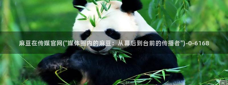 麻豆官方导航：麻豆在传媒官网(\