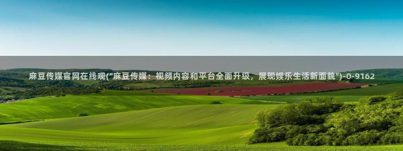 麻豆视频 完整版更新：麻豆传媒官网在线观(\