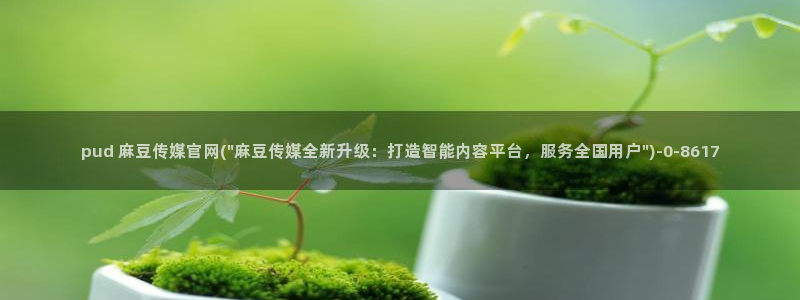 麻豆视频 入口合集：pud 麻豆传媒官网(\
