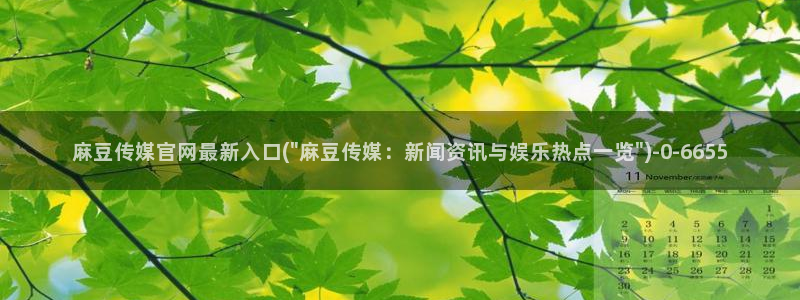 麻豆视频最新高清：麻豆传媒官网最新入口(\