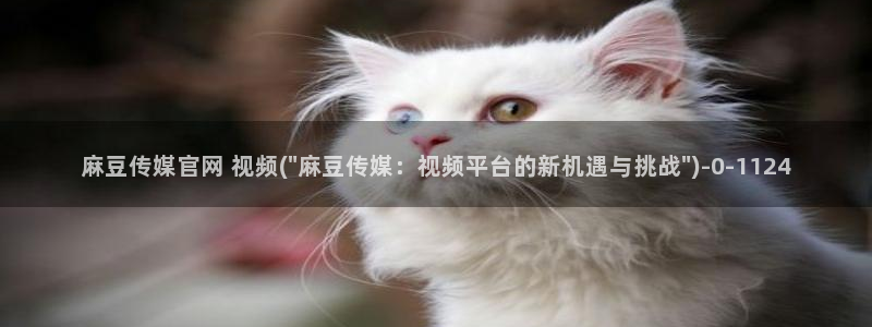 麻豆更新合集：麻豆传媒官网 视频(\