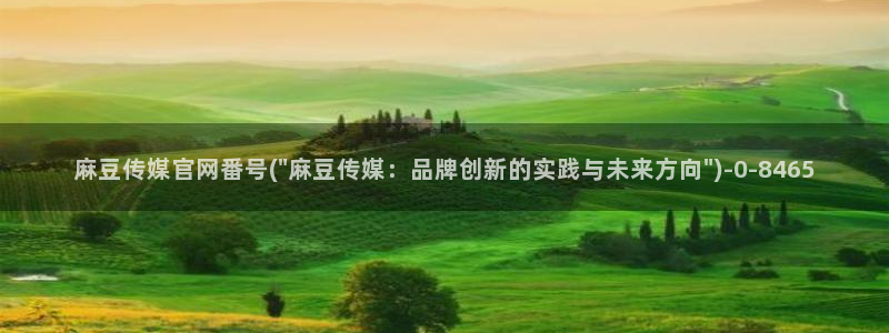 麻豆视频 完整版导航：麻豆传媒官网番号(\