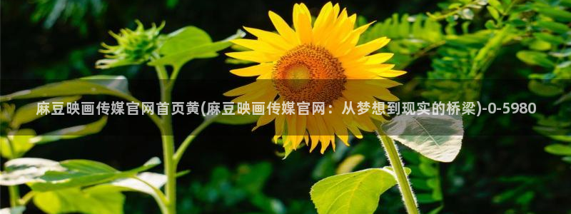 麻豆视频高清在线看：麻豆映画传媒官网首页黄(麻豆映画传媒官网：从梦想到现实的桥梁)
