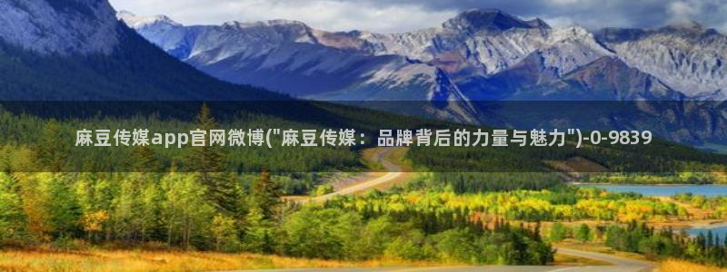 麻豆视频 站视频：麻豆传媒app官网微博(\