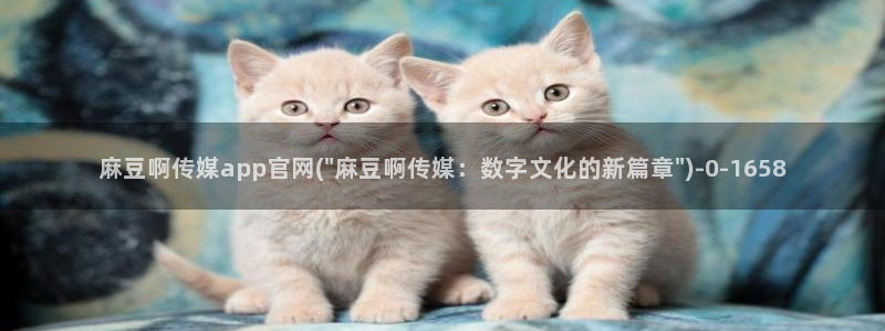 麻豆视频库：麻豆啊传媒app官网(\