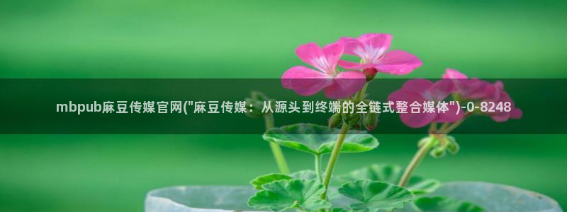 麻豆 合集：mbpub麻豆传媒官网(\