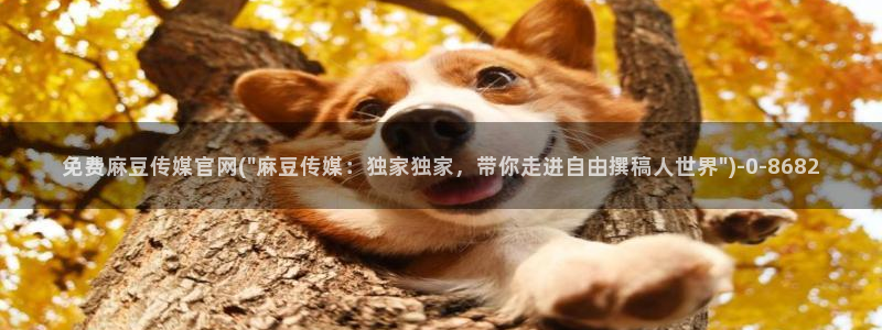麻豆 合集资源：免费麻豆传媒官网(\