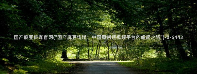 麻豆视频 站页面：国产麻豆传媒官网(\
