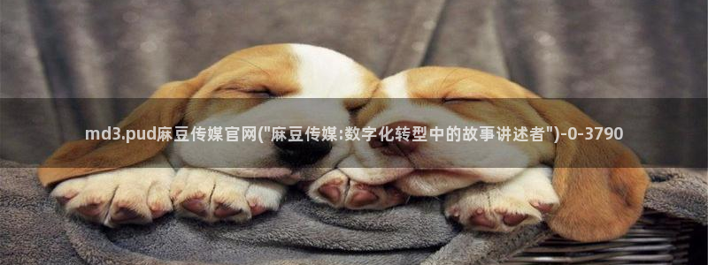 麻豆视频 资源资源：md3.pud麻豆传媒官网(