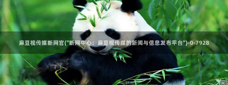 麻豆视频 完整版最新